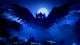 Ori and the Blind Forest: Definitive Edition Nintendo Switch 4