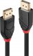 Kabel Lindy DisplayPort - DisplayPort 20m czarny (41081) 1
