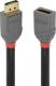 Kabel Lindy DisplayPort - DisplayPort 2m szary (36497) 1