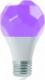 Nanoleaf Żarówka LED E27 9W RGBW 5