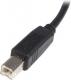 Kabel USB StarTech USB-A - USB-B 1.8 m Czarny (USB2HAB2M) 2