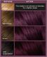 L’Oreal Paris Trwała Farba do włosów Colorista Dark Purple 2