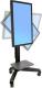 Ergotron Stojak podłogowy 24-192-085 50'' - 75'' 2