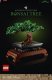 LEGO Icons Drzewko bonsai (10281) 1
