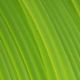 Fiberlogy Filament Fiberlogy Easy PET-G Light Green 1,75mm 850g 1