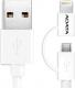 Kabel USB ADATA USB-A - 1 m Biały (AMFI2IN1-100CM-CWH) 1