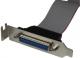 StarTech DB-25 - IDC-26, 0.4m, Szary (PLATE25F16LP) 1