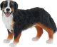 Figurka Bullyland Animal World - Berneńczyk Bianca (65436) 1