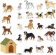 Figurka Bullyland Animal World - Berneńczyk Bianca (65436) 2
