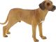 Figurka Bullyland Animal World - Dog Nelson (65442) 1