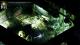 Stasis PC 5