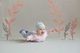 PINOKIO czapka Wild Animals nieb. 62 1