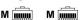 Value Patchcord, S/FTP, PiMF, Kat6, 0.5m, biały (21.99.1326) 1
