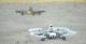 Dron Parrot Airborne Cargo Minidrone Mars (PF723301AA) 6