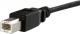 Kabel USB StarTech USB-B - USB-B 0.3 m Czarny (USBPNLBFBM1) 2