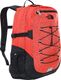 Plecak turystyczny The North Face Borealis Classic 29 l 1