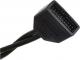 SilverStone USB 19 pin - USB 9 pin, 0.1m, Czarny (G11303050-RT) 1