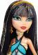 Mattel MONSTER HIGH Klasyczne straszyciółki CFC60/CFC65 2