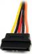 StarTech SATA 15-pin - SATA 15-pin x2, 0.15m, Wielokolorowy (PYO2LSATA) 4