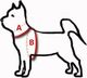 Dingo DINGO SZELKI FRED SILVER TWILIGHT 1,6/50 CZARNY 1