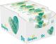 Pampers Chusteczki nawilżające Coconut Pure 9x42szt 1