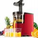 Wyciskarka wolnoobrotowa Costway EP24000DE 3