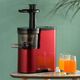 Wyciskarka wolnoobrotowa Costway EP24000DE 4