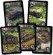 Rebel Gra World of Tanks: Rush (28152) 6