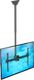Fiber Novelty Uchwyt sufitowy FN T1610 37'' - 70'' 2