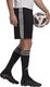 Adidas Spodenki adidas SQUADRA 21 Short GN5776 GN5776 czarny XXL 3