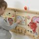 Masterkidz Tablica Edukacyjna Zmysł Węchu 6
