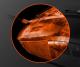 Mysz SteelSeries Rival 300 Black (62351) 4