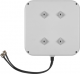 Antena NETGEAR ProSAFE® 10 DBI ANT224D10-10000S 3