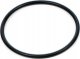 Fluval Uszczelka silnika, O-ring do filtrów FX - A20207 1