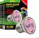 Exo Terra Żarówka Exo Terra NANO Daylight LED Spot, 5W 1
