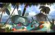 Rayman Szalone Kórliki PC 3