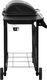 vidaXL 3053622 Grill ogrodowy gazowy 8 kW 48.5 cm x 37.5 cm 3