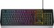 Klawiatura Genesis Rhod 300 RGB  (NKG-1528) 1