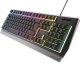 Klawiatura Genesis Rhod 300 RGB  (NKG-1528) 6