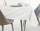 AmeliaHome AmeliaHome obrus plamoodporny GAIA HMD WHITE 120X240 2