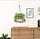 Home Styling Collection Kwietnik WISZĄCY podstawka podstawa wisząca na doniczkę kwiat roślinę 25 cm 2