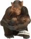 Figurka Schleich Szympansica z młodym (14679) 2