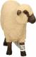 Figurka Schleich Owca odmiana Shropshire (13681) 1