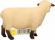 Figurka Schleich Owca odmiana Shropshire (13681) 2