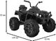 Ramiz Pojazd Quad ATV 2.4G Czarny 2