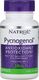 NATROL Natrol - Pycnogenol, 50mg, 60 kapsułek 1