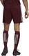 Adidas Spodenki adidas SQUADRA 21 Short GN8083 GN8083 czerwony S 3