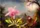 Bluebird Puzzle Puzzle 1000 Orchidea Cattleya i trzy kolibry 1