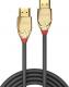 Kabel Lindy HDMI - HDMI 1m złoty (37601) 2