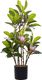 Beliani Sztuczna roślina doniczkowa 70 cm MAGNOLIA 1